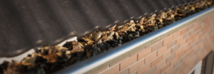 a close-up of a gutter