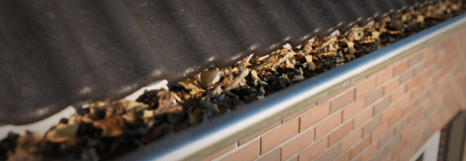 a close-up of a gutter